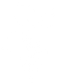Grapes Icon